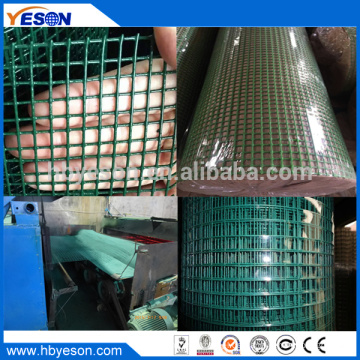 Anping Gauge 20 PVC-Beschichtung geschweißte Eisen Draht Mesh Tuch Rollen Hersteller